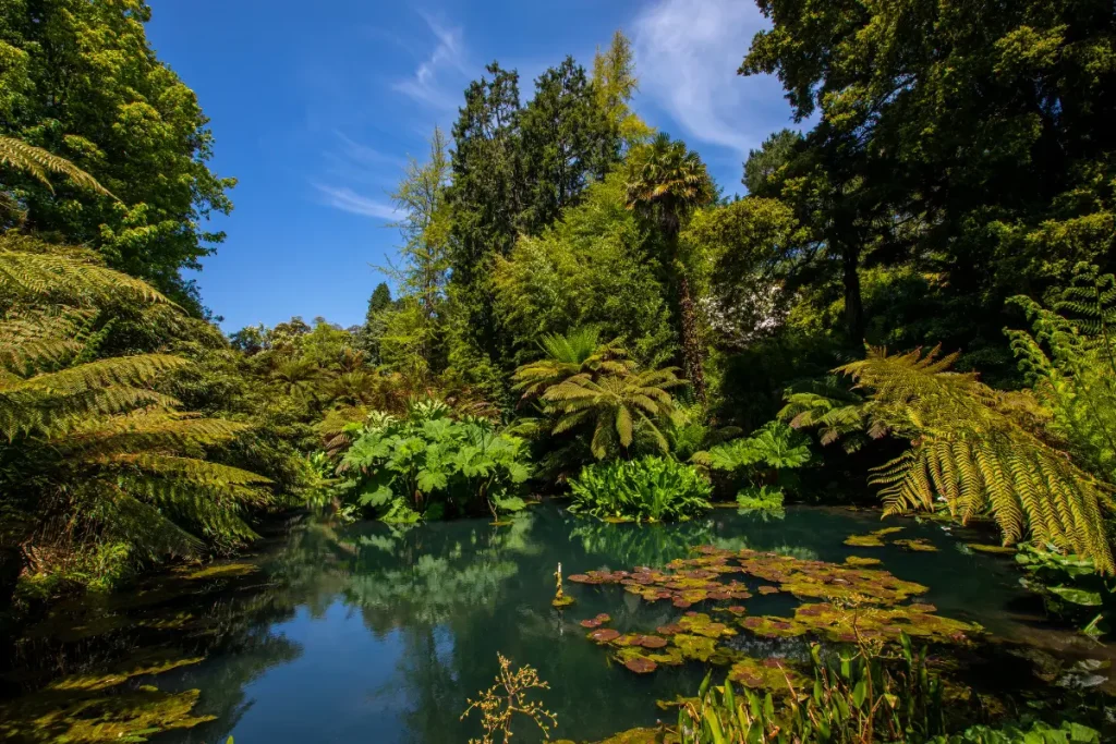 The Lost Gardens of Heligan